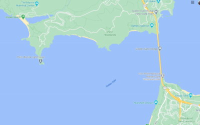 Screenshot 2020-09-09 at 3.49.19 PM