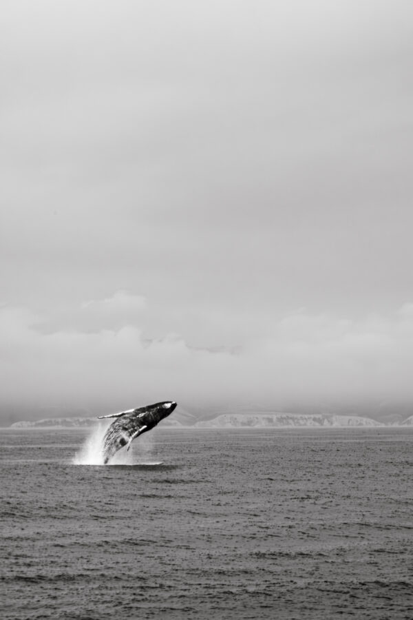 DSCF2807-Enhanced-NR