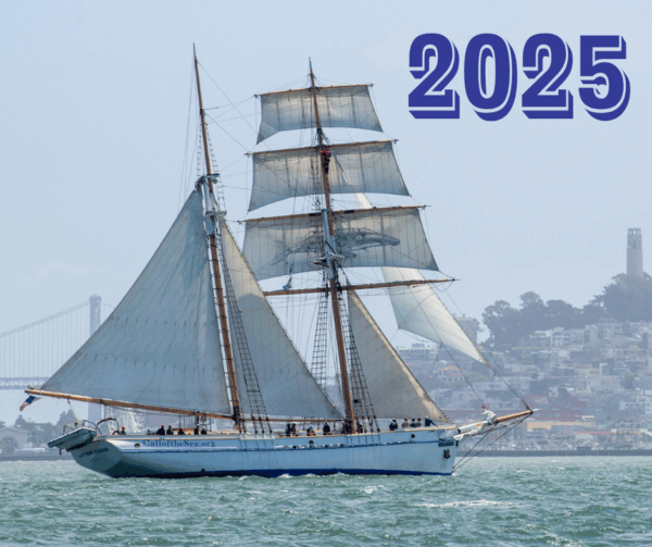 Matthew Turner sailing