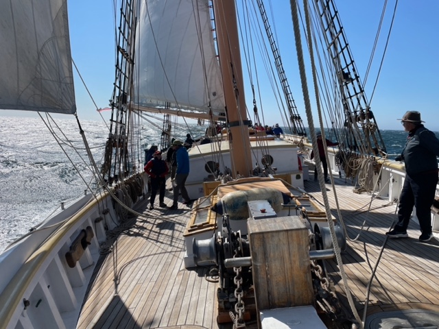 Sailing offshore