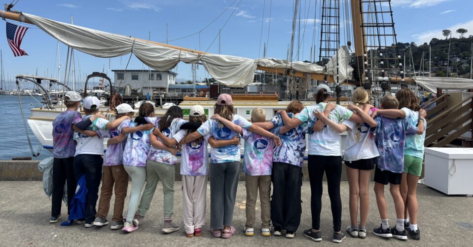 Camper cohort